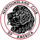 NCA Logo